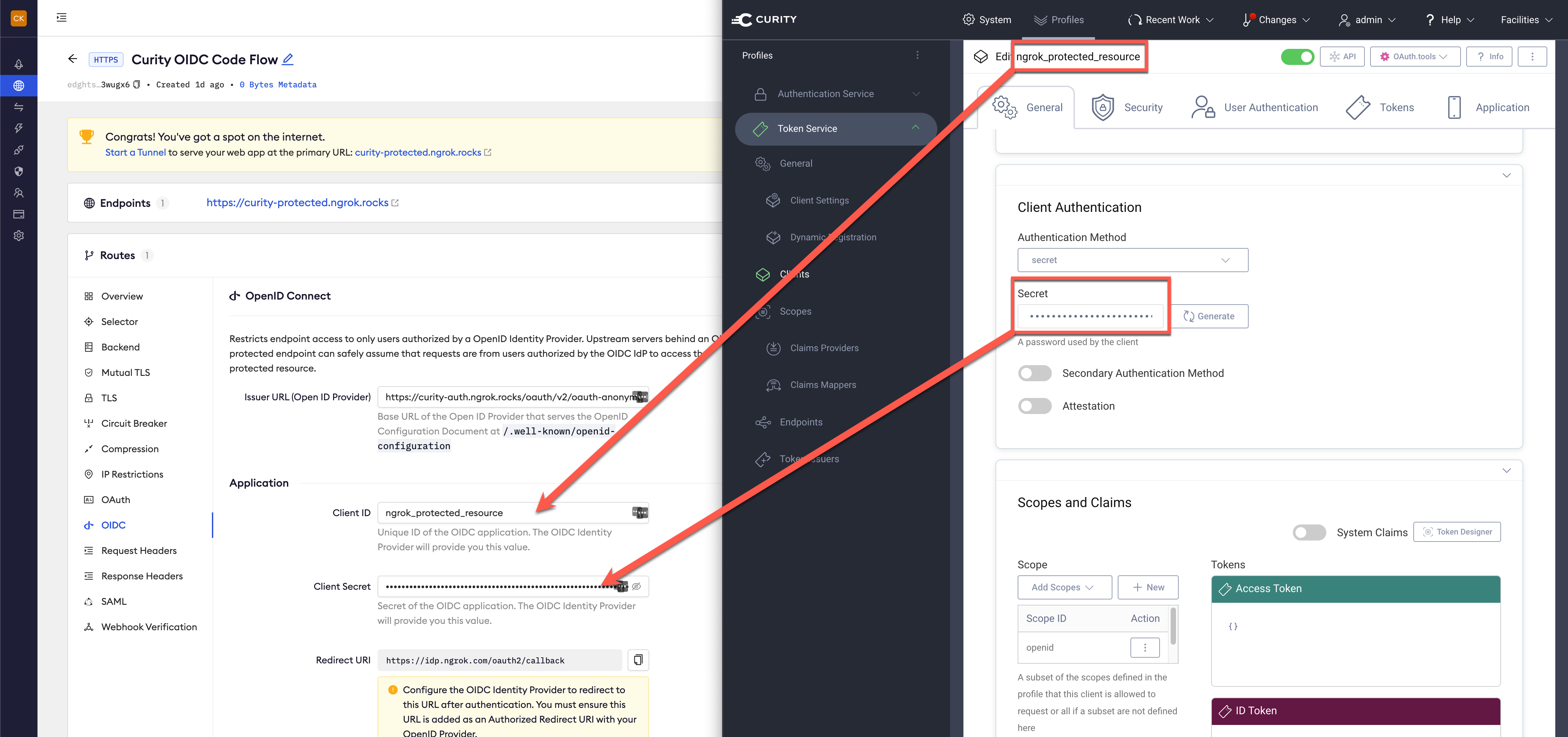 Curity config in ngrok